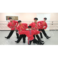 Косоворотка Иван-Горошко, хлопок, красный
